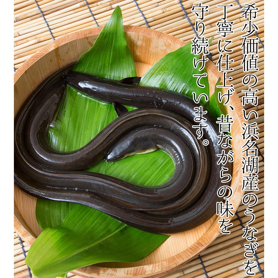 浜名湖食品 うなぎ蒲焼缶詰 100g(固形量90g)×5個セット 国産