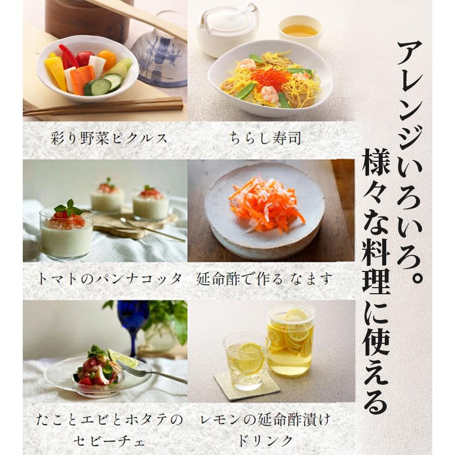 ジャパンシーズニング 延命酢 900ml 選べる セット オレンジビネガー