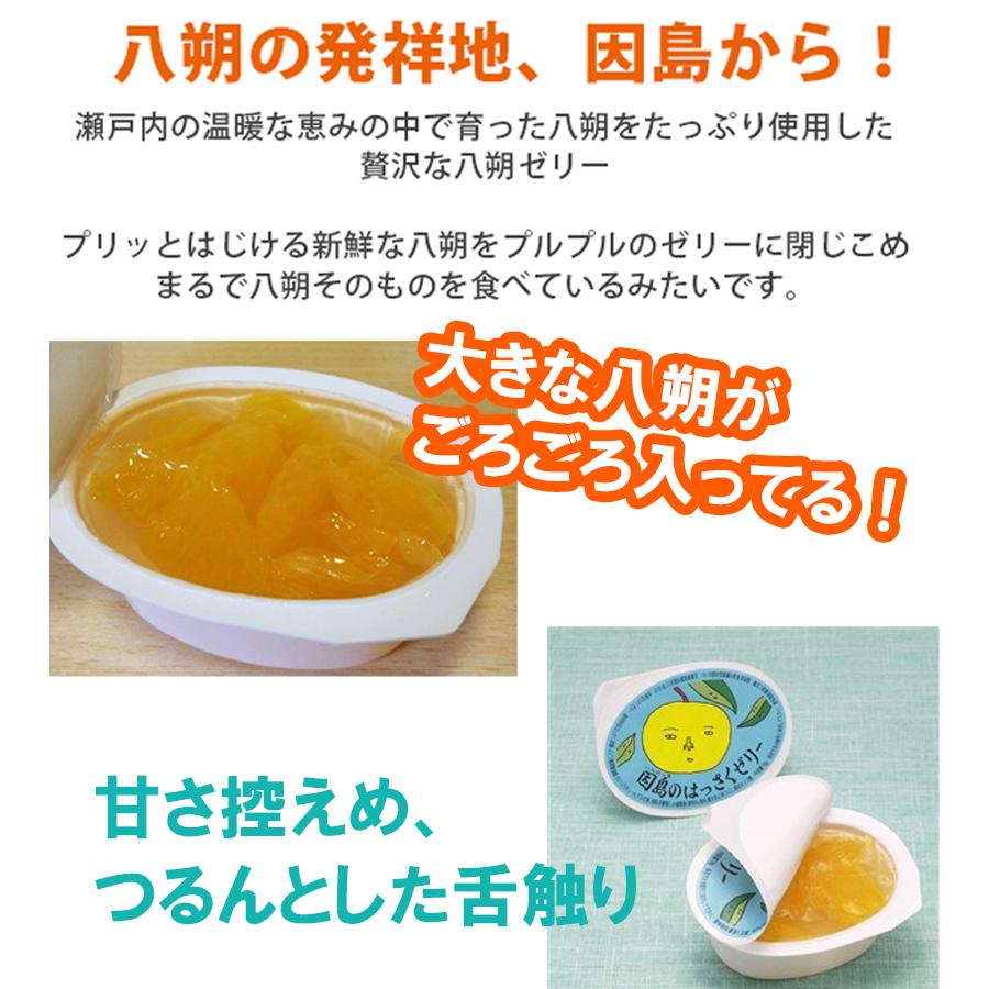 因島 はっさくゼリー 24個セット 八朔果肉入り 果物ゼリー フルーツ