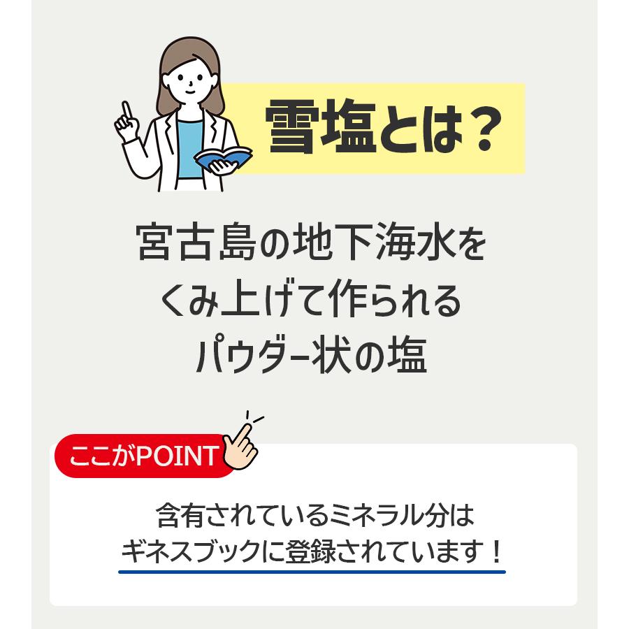 ちんすこう 雪塩ちんすこう 大 1箱48個入(2×24袋) 南風堂 沖縄 琉球銘菓 お土産 伝統 伝統菓子 宮古島 美味しい 人気 有名 小分け 個包装｜select-mofu-y｜04