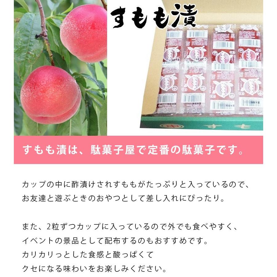 駄菓子 すもも漬け 2粒入 個セット 大人買い おやつ お菓子 おつまみ 酢漬け 中野産業 ライフスタイル 生活雑貨のmofu 通販 Paypayモール