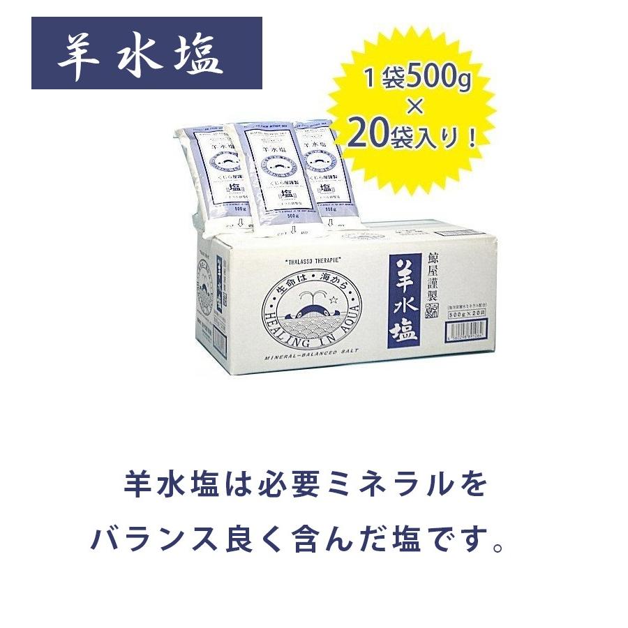 羊水塩 500g 袋セット くじら屋謹製 国産 ミネラル調整塩 バスソルト ようすいえん ライフスタイル 生活雑貨のmofu 通販 Paypayモール