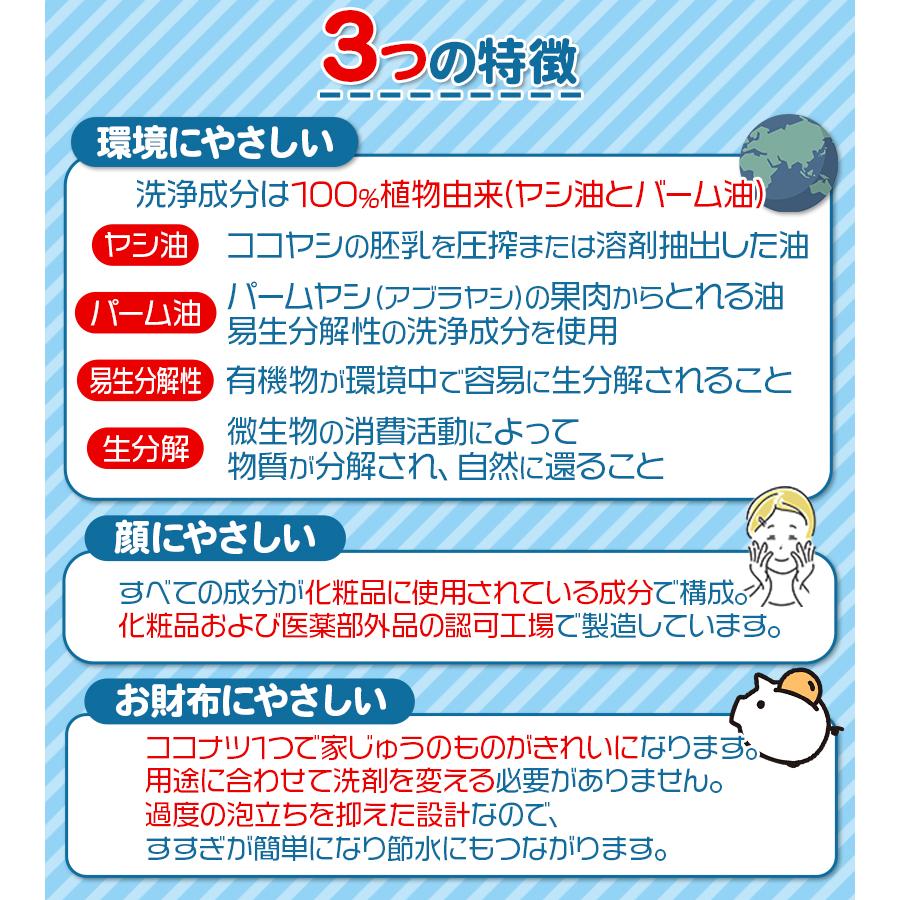 環境洗剤(エコ洗剤) 衣類・キッチン用 ココナツ洗剤 4L×4個セット