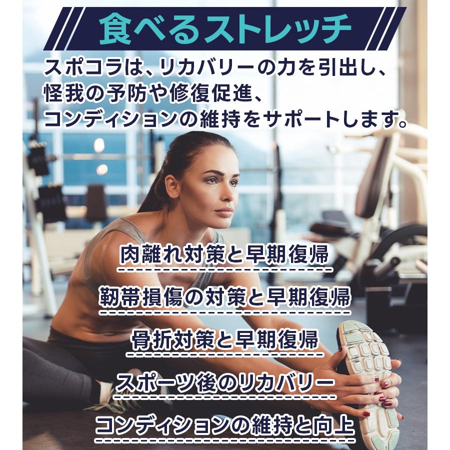 ムゲン スポコラ 28包入 SPOCOLLA ソフトゼリー ファイバープロテイン