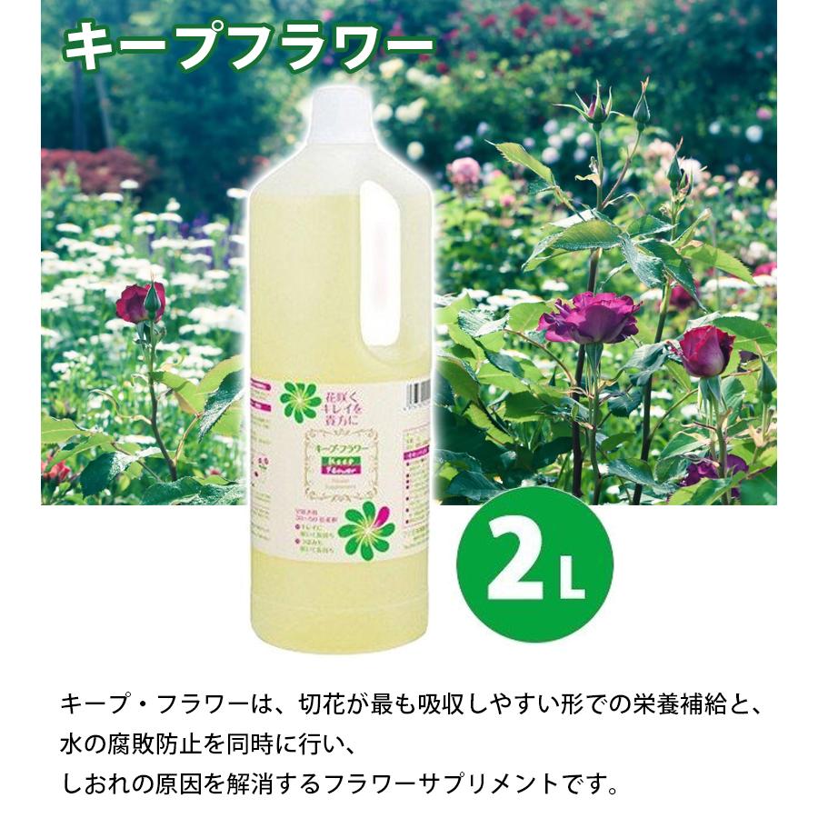 フジ日本精糖 切り花栄養剤 キープ フラワー 2l 延命剤 切り花活力剤 業務用 フラワーアレンジメント ライフスタイル 生活雑貨のmofu 通販 Paypayモール