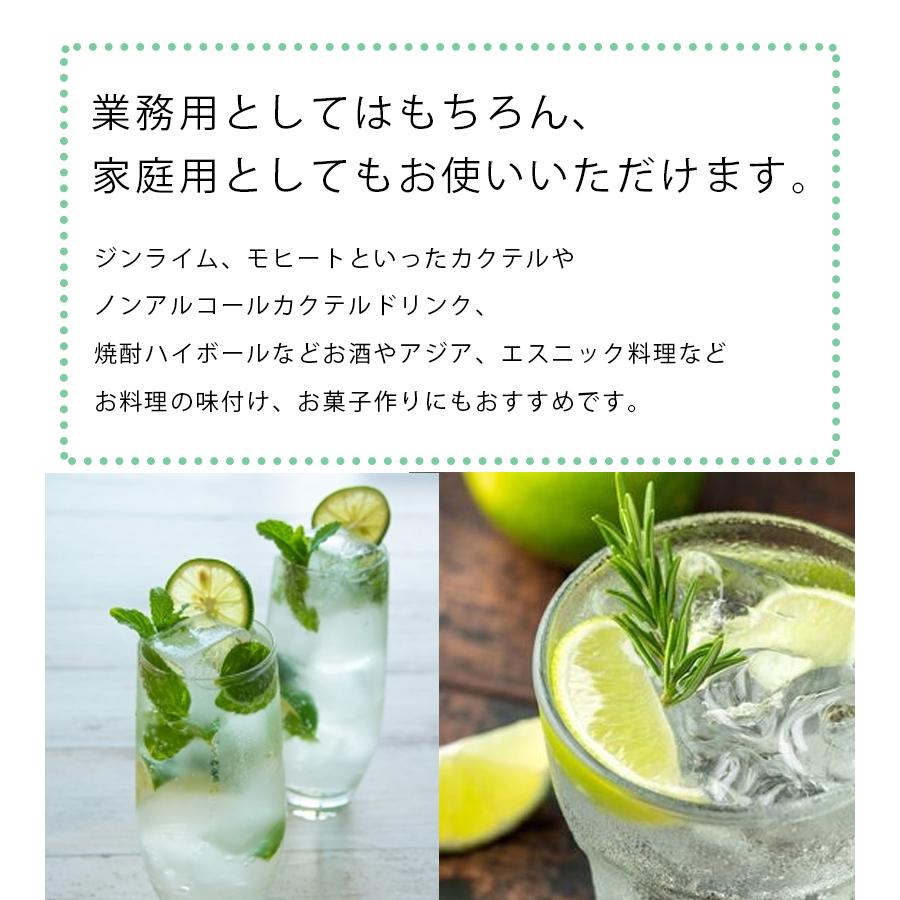 日本に ポッカサッポロ ライム果汁100 業務用 7ml 割り材 お酒 カクテル ジンライム ポッカライム サワー Aynaelda Com