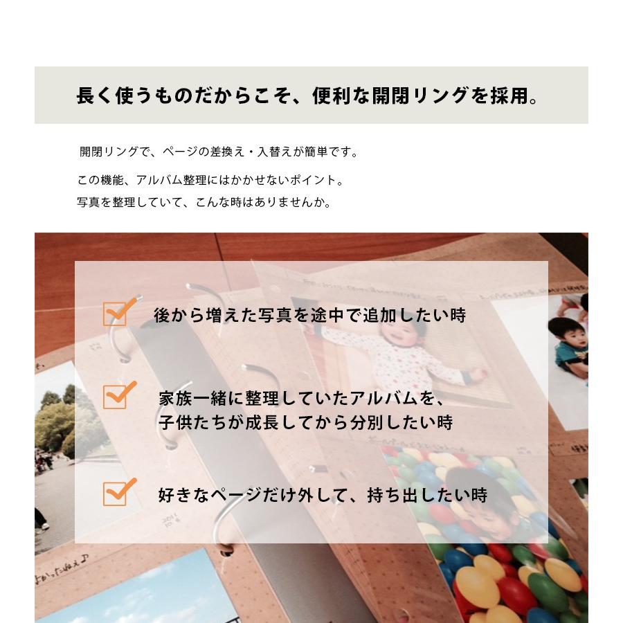 Susylabo スージーラボ ザ フォトグラフ ライブラリー1000 全4色
