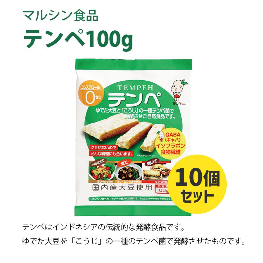 テンペ 100g×10個セット 国産大豆使用 無添加 タンパク質豊富 食物繊維