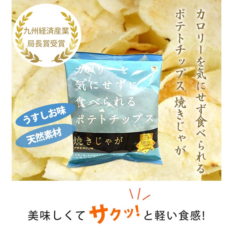 テラフーズ 焼きじゃが Premium うすしお味 31g 12袋セット スナック菓子 ノンフライ ポテトチップス ライフスタイル 生活雑貨のmofu 通販 Paypayモール