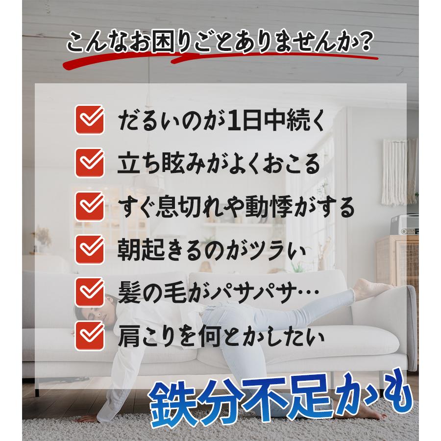 南部鉄器 鉄分補給 ザ・鉄玉子 2個セット 鉄たまご ナス・黒豆煮物の色