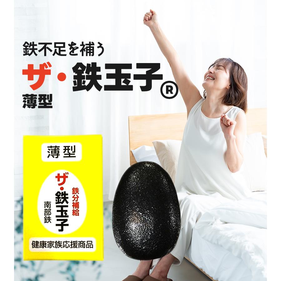 南部鉄器 鉄分補給 ザ・鉄玉子 2個セット 薄型 鉄たまご ナス・黒豆