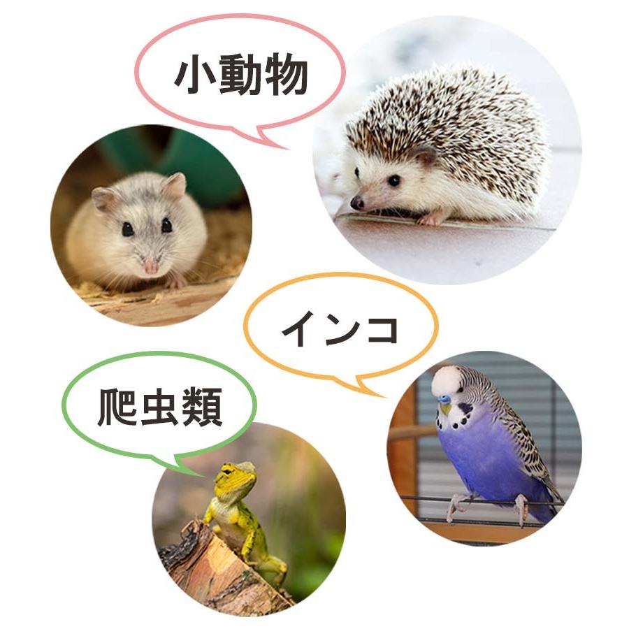 小動物飼育用ヒーターとデジタルサーモ 000000003153_1_p9jlQip.jpg