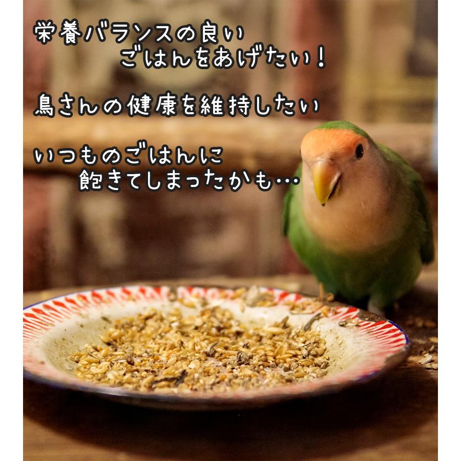 黒瀬ペットフード プロショップ専用 mania セキセイインコ 3L 餌