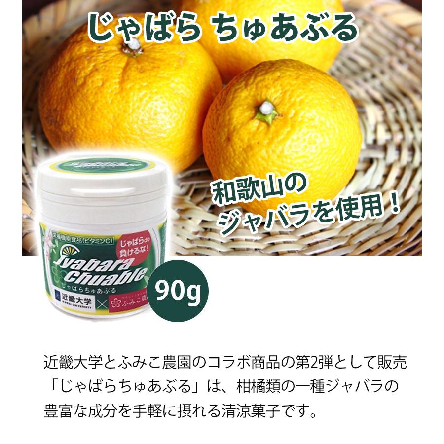 じゃばら ちゅあぶる 90g 約60粒 ふみこ農園 サプリメント 健康食品 ジャバラ果皮 ビタミンc タブレット菓子 ライフスタイル 生活雑貨のmofu 通販 Paypayモール