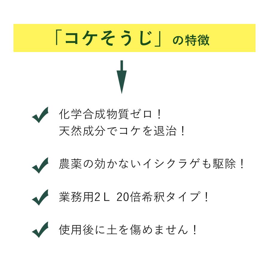 開店祝い コケそうじ 濃縮液 2l 業務用 詰め替え 倍希釈 パネフリ工業 除草剤 庭 階段 ビニールハウス ライフスタイル 生活雑貨のmofu 通販 Paypayモール 安心の定価販売 Www Lequotidien Mr