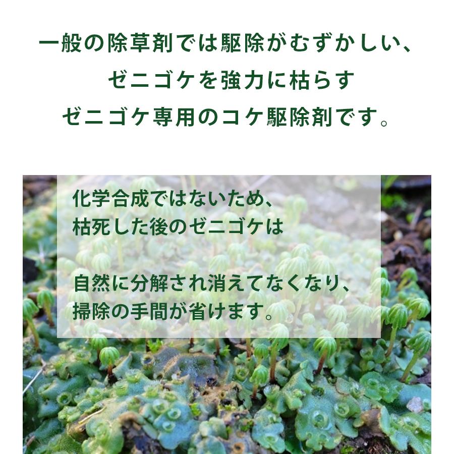 コケそうじ ゼニゴケ除去剤 濃縮液 500ml 業務用 詰め替え 10倍希釈 パネフリ工業 除草剤 庭 階段 ビニールハウス U ライフスタイル 生活雑貨のmofu 通販 Yahoo ショッピング
