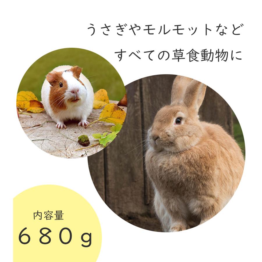 アメリカンペットダイナー チモシーゴールド2番刈り 680g 小動物