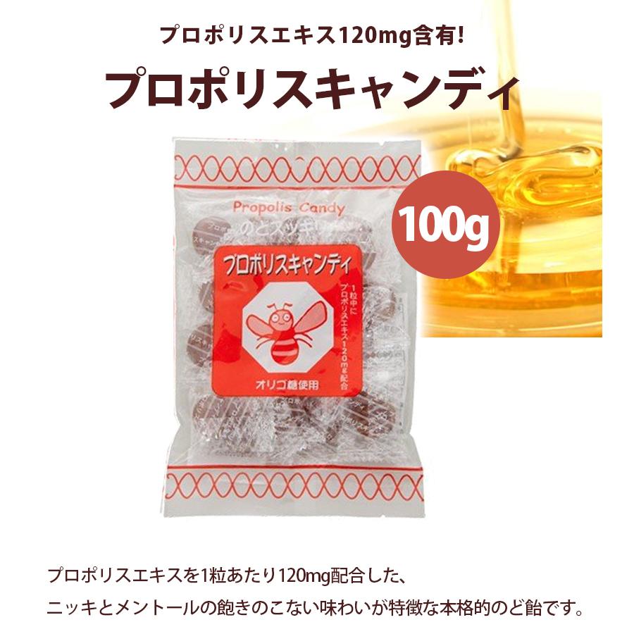 プロポリスキャンディ 100g 3個セット のど飴 個包装 プロポリスエキス1mg含有 アメ ソーキ ライフスタイル 生活雑貨のmofu 通販 Paypayモール
