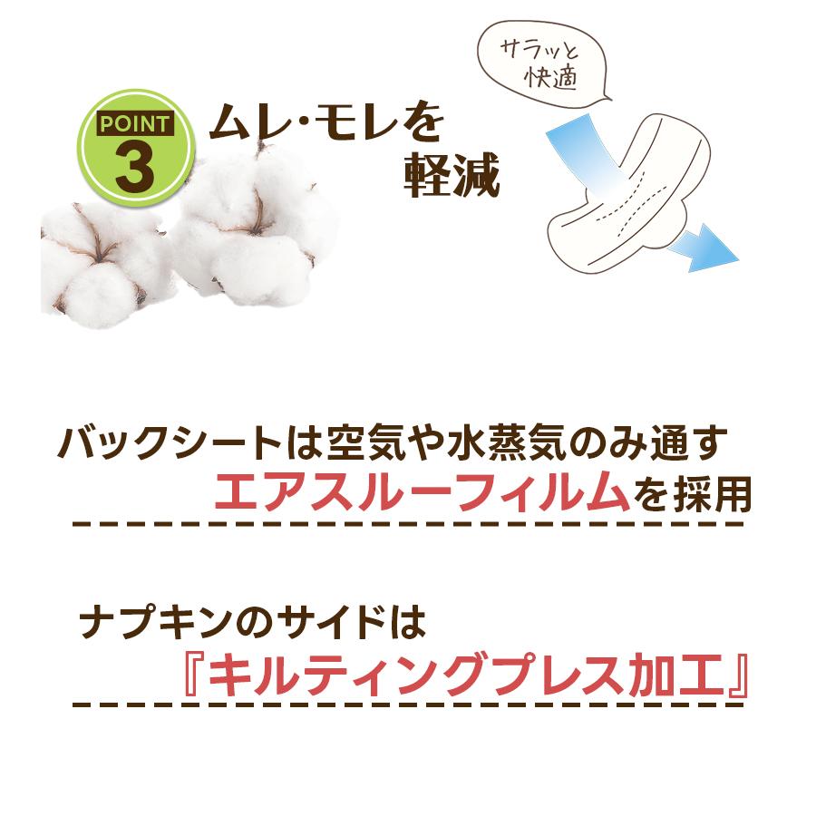 はに様 オーダーナプキン入れ完成品 生理用ナプキン 羽なし 昼用 ナチュラムーン 24個入×6袋セット