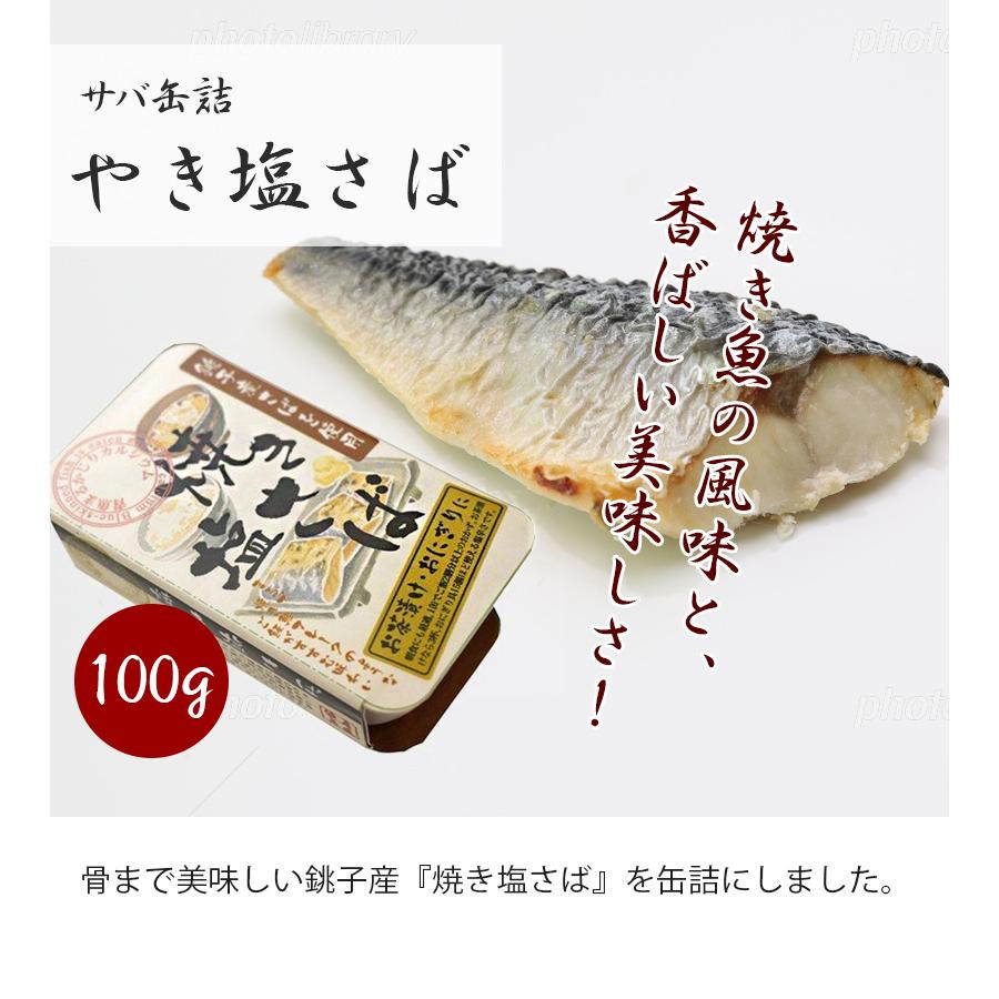 サバ缶詰 ムソー 焼き塩さば 100g 8個セット 国産 長期保存食 やき塩鯖 おかず ギフト ライフスタイル 生活雑貨のmofu 通販 Paypayモール