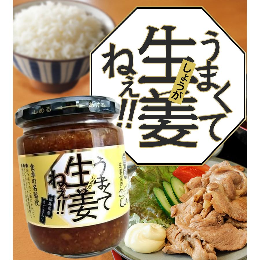 うまくて生姜ねぇ 240g×20個セット しょうが 国産 醤油漬け ごはんの