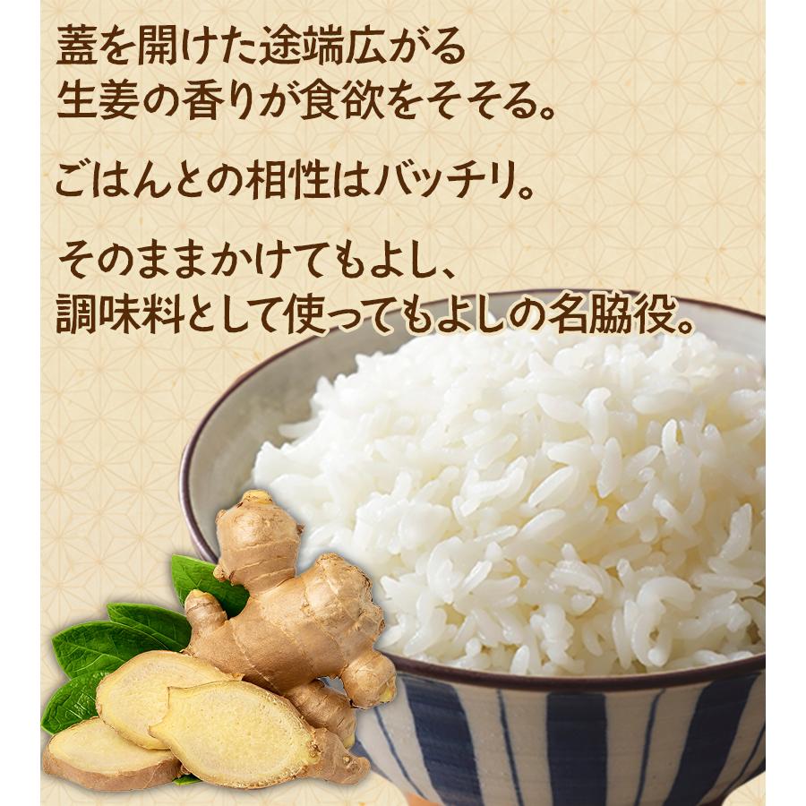うまくて生姜ねぇ 240g×3個セット しょうが 国産 醤油漬け うまくて生姜ねぇ 240g×3個セット しょうが 国産 醤油漬け