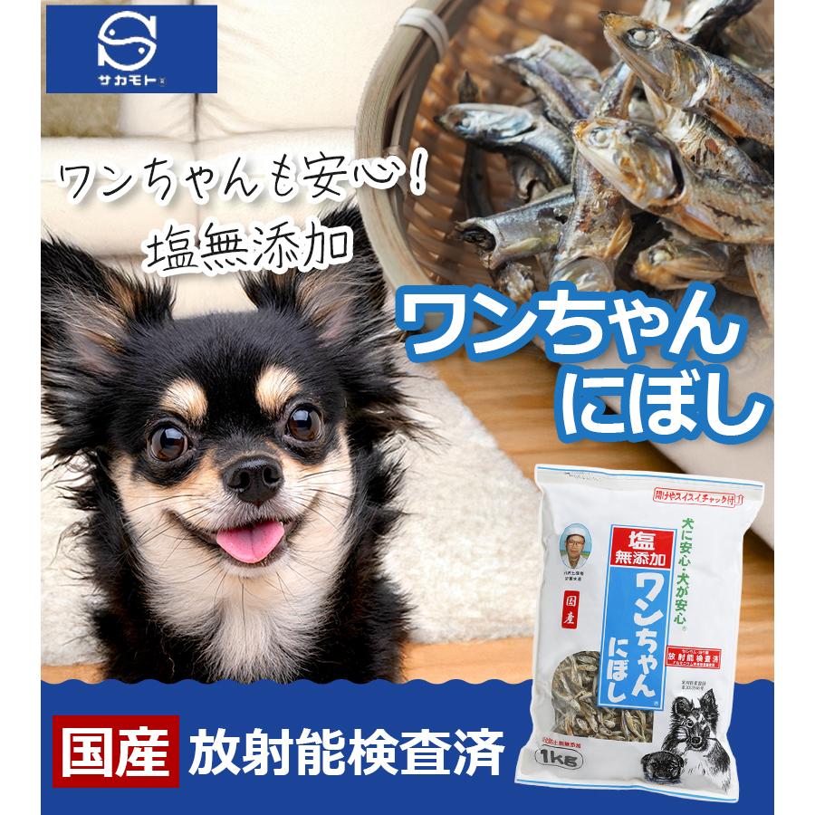 犬 おやつ 塩無添加 国産 ワンちゃんにぼし お徳用 1kg 犬用 おつまみ