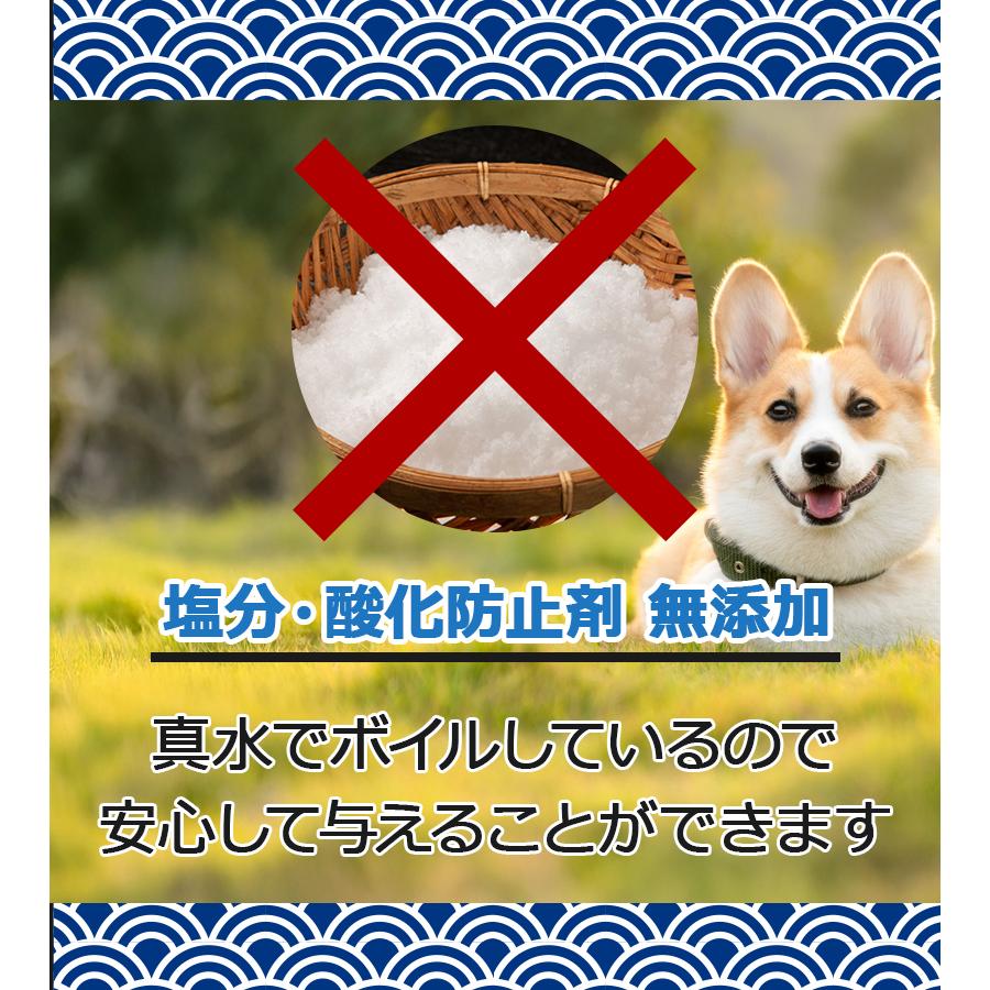 犬 おやつ 塩無添加 国産 ワンちゃんにぼし お徳用 1kg 犬用