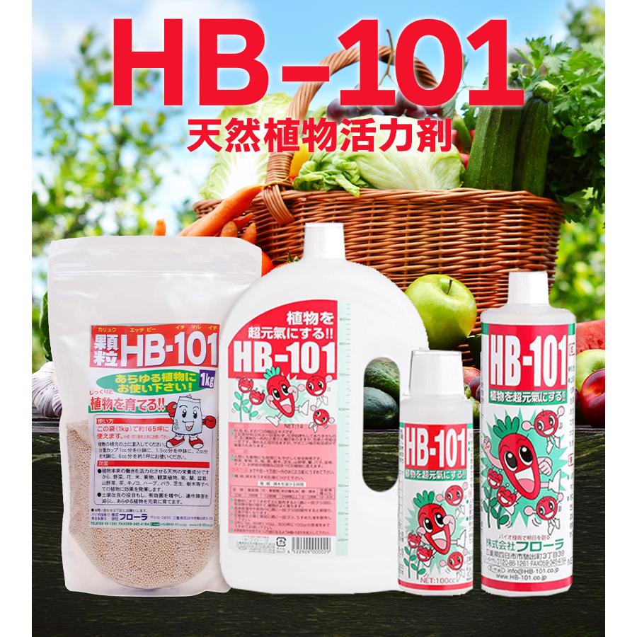 植物活力剤HB101残り560ml フローラ】 植物活力剤 HB-101 | 肥料&活力剤,フローラ | Tree people