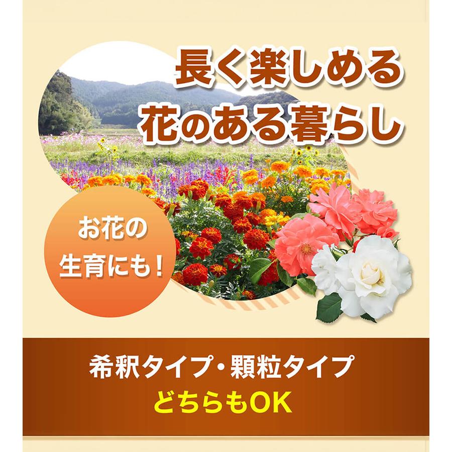 フローラ HB-101 植物活力剤 選べる容量 顆粒 原液 希釈 観葉植物