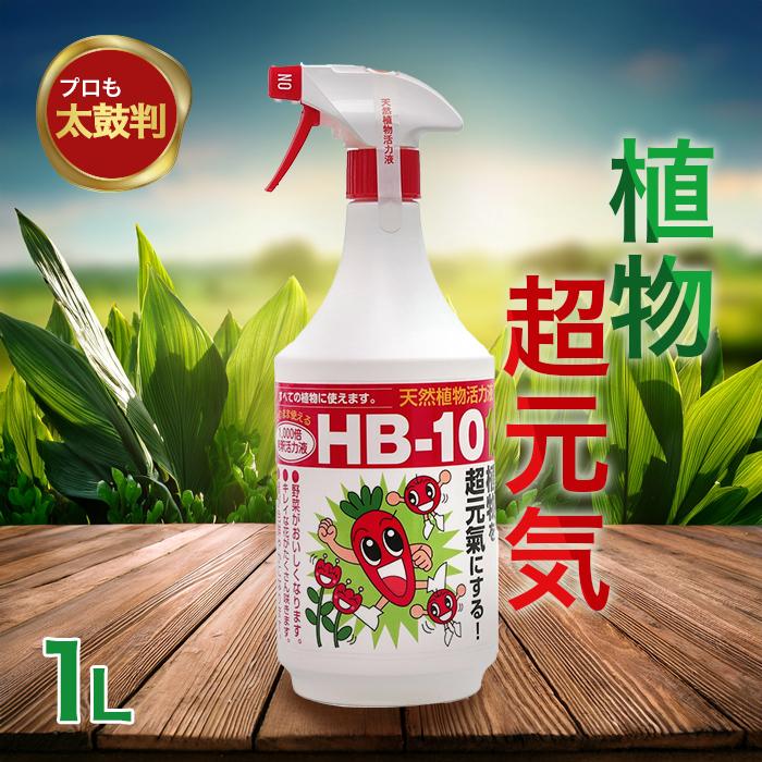 フローラ HB-101 希釈済みタイプ スプレーボトル １L 植物活力剤 観葉植物 切り花 園芸 家庭菜園 液体肥料 栄養剤 仏花｜select-mofu-y