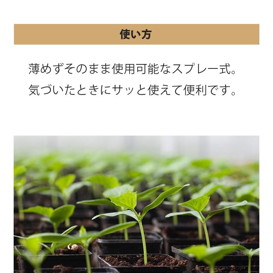 HB-101⭐︎1L おまけ付き♡ HB-101⭐︎1L おまけ付き♡ HB-101⭐︎1L おまけ付き♡