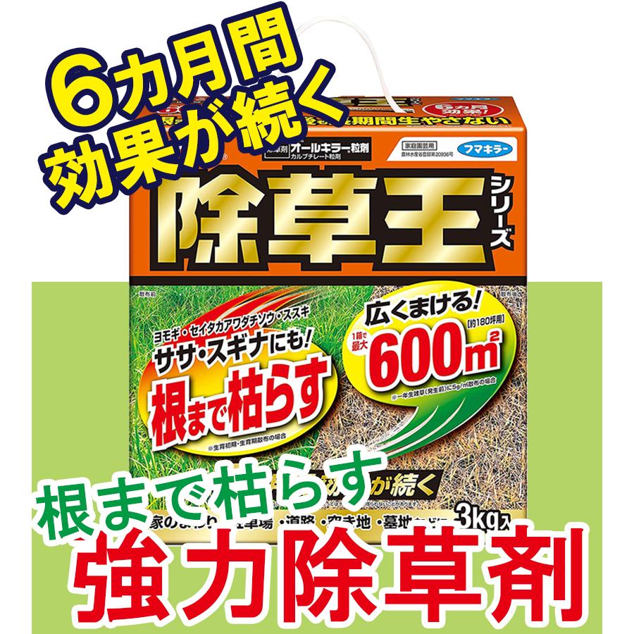 フマキラー 除草剤 カダン 除草王 オールキラー 3kg 粒剤 雑草 庭 園芸用品 農業 畑 雑草対策 雑草除去 業務用 強力 家庭用 顆粒 広範囲｜select-mofu-y｜02