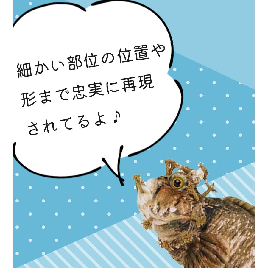 魚 ぬいぐるみ 大きい おさかなぬいぐるみ さかなクンプロデュース