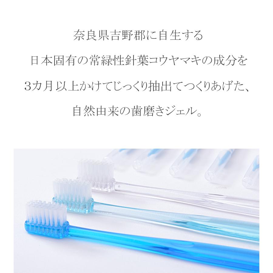 歯磨きジェル デンタアプローチ 90g×2個セット ファミリーサイズ 大人