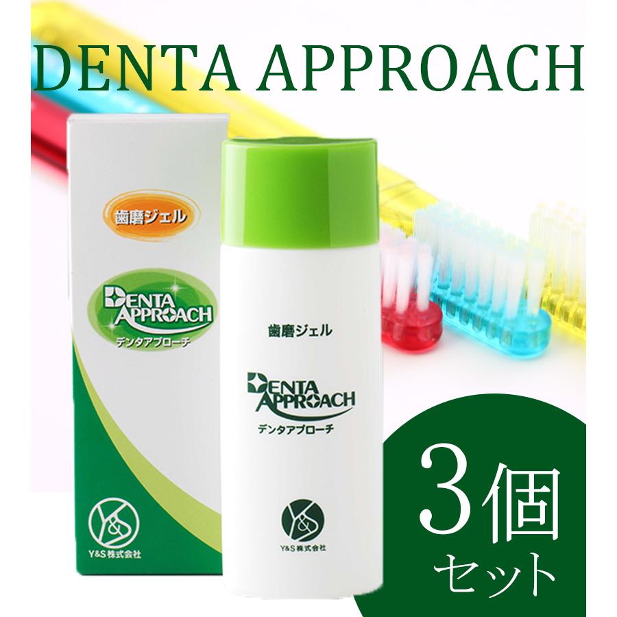 歯磨きジェル デンタアプローチ 90g×3個セット ファミリーサイズ 大人