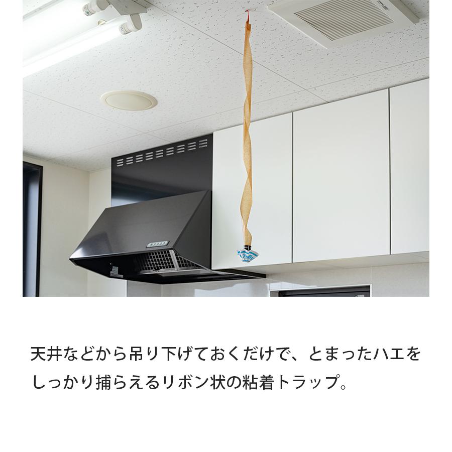 シマダ ハエ取りリボンタイプ 5本入 3個セット 吊り下げ 粘着 はえ取り ハエ捕り紙 蚊 コバエ 虫 Shimada 新着