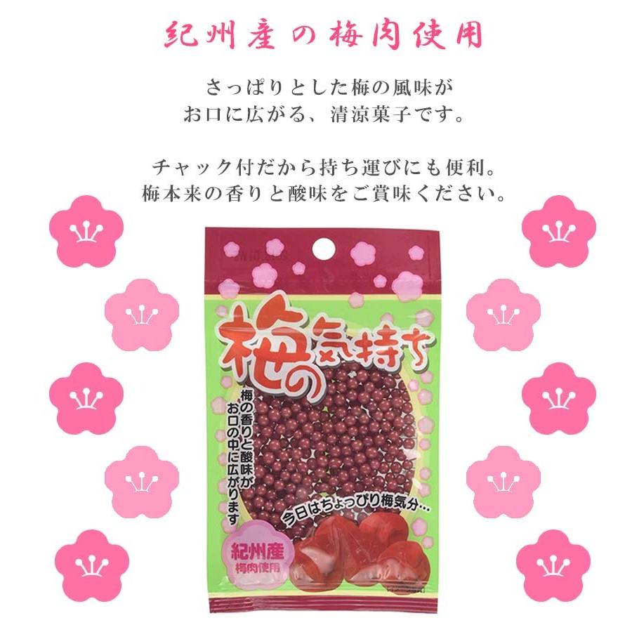 駄菓子 梅の気持ち 25g 12個セット チャック付袋 お菓子 梅ミンツ キャンディー おやつ 大人買い 大容量 お徳用 オリオン製菓 ライフスタイル 生活雑貨のmofu 通販 Paypayモール