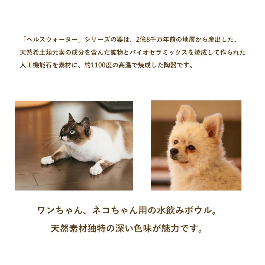 今季一番 猫 食器 ヘルスウォーター フードボウル Mサイズ バニラホワイト お皿 食べやすい ネコ用食器 斜頸 白 餌入れ オーカッツ Aukatz ギフトおしゃれ Dprd Jatimprov Go Id