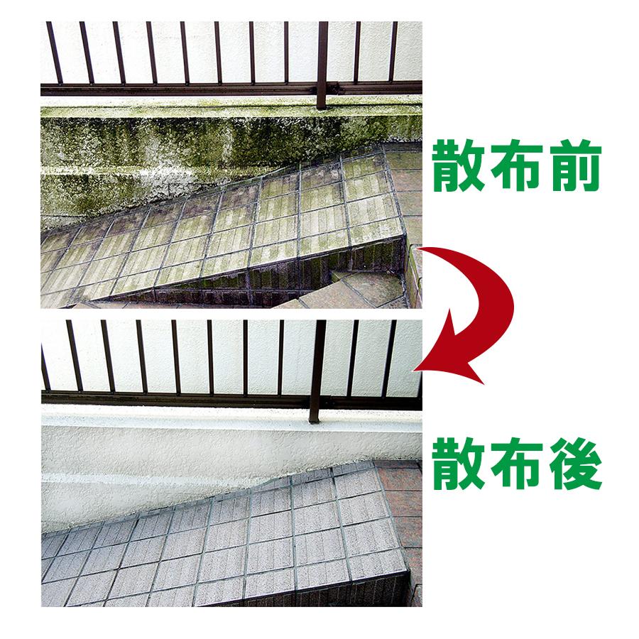 業務用 コケカビ取り 屋外用 4lタイプ 噴射ノズル付き 掃除用品 カビ予防 苔除去剤 汚れ落とし 洗浄クリーナー トーヤク U ライフスタイル 生活雑貨のmofu 通販 Yahoo ショッピング