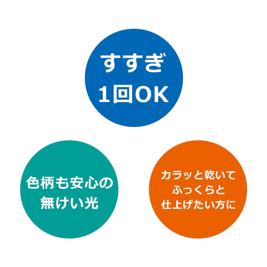 洗濯洗剤 トップ ハレタ 液体 詰め替え用 900g×12個セット 特大