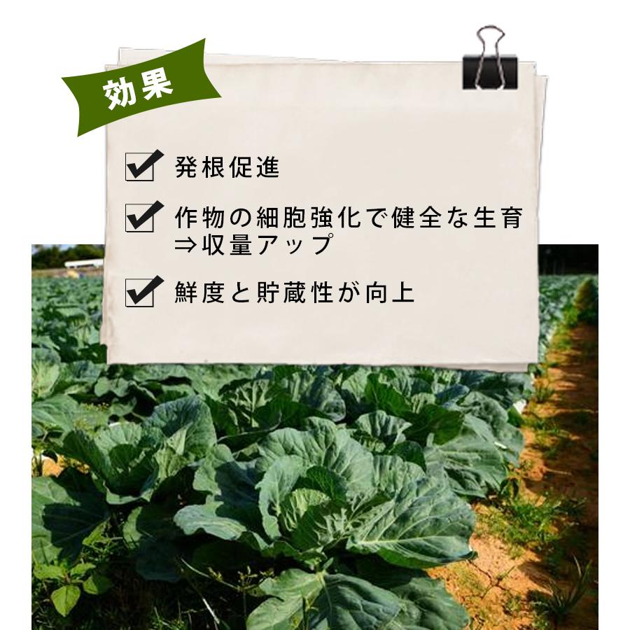 土壌改良剤 葉面散布用 肥料 ダーウィン FC100 1kg 液肥 液体肥料 園芸用品 家庭菜園 野菜 トマト 芝生 果樹 カルシウム 業務用 大容量 吉野石膏｜select-mofu-y｜04