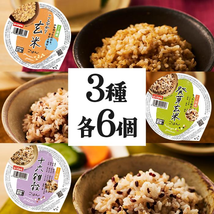 玄米 パックごはん レトルトご飯パック 発芽玄米 十六雑穀米