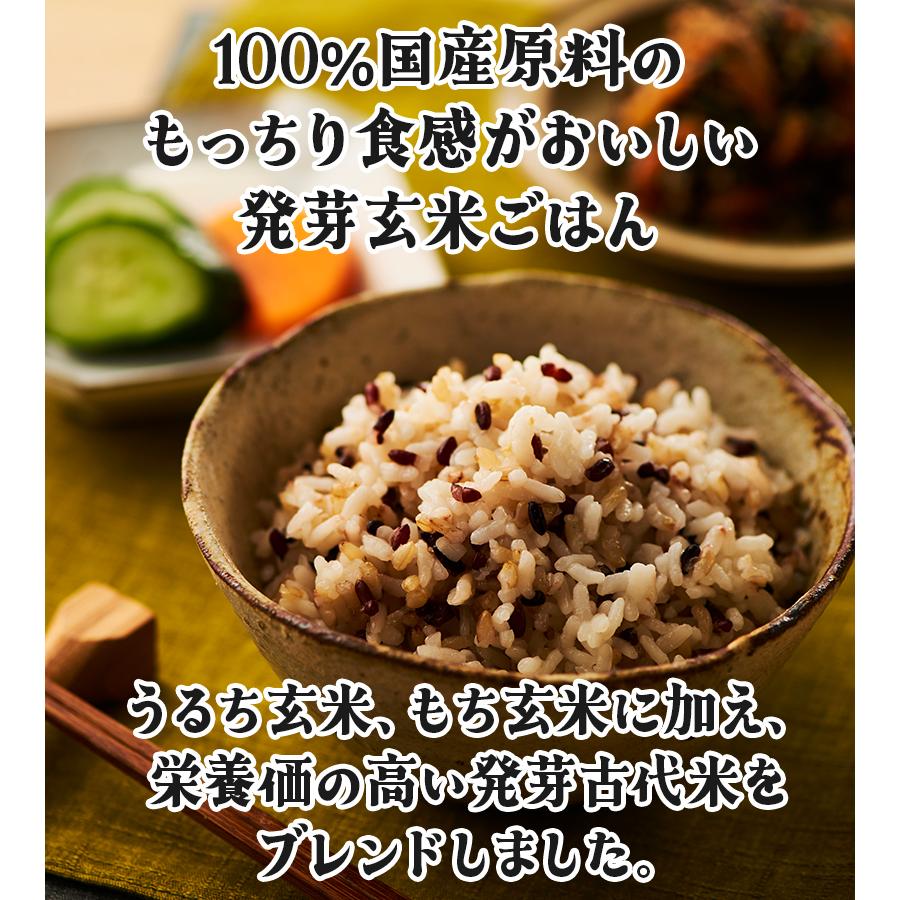玄米 パックごはん レトルトご飯パック 発芽玄米 十六雑穀米 