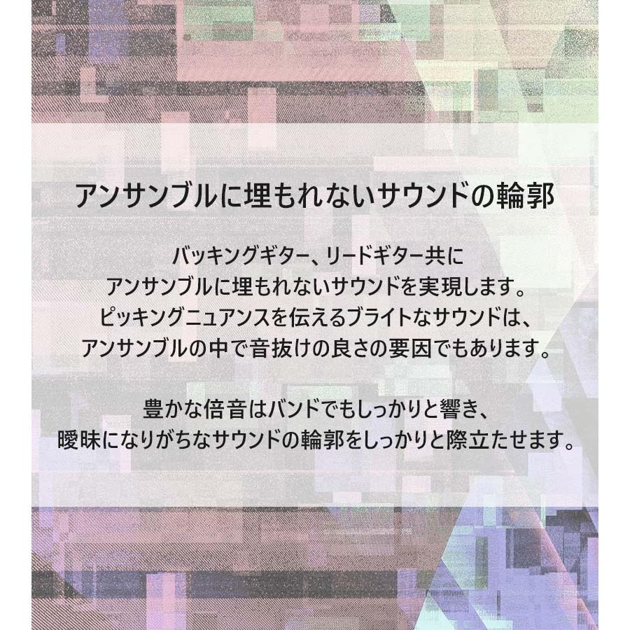 ベース ギター エフェクター Vivie ModernRaven モダンレイブン