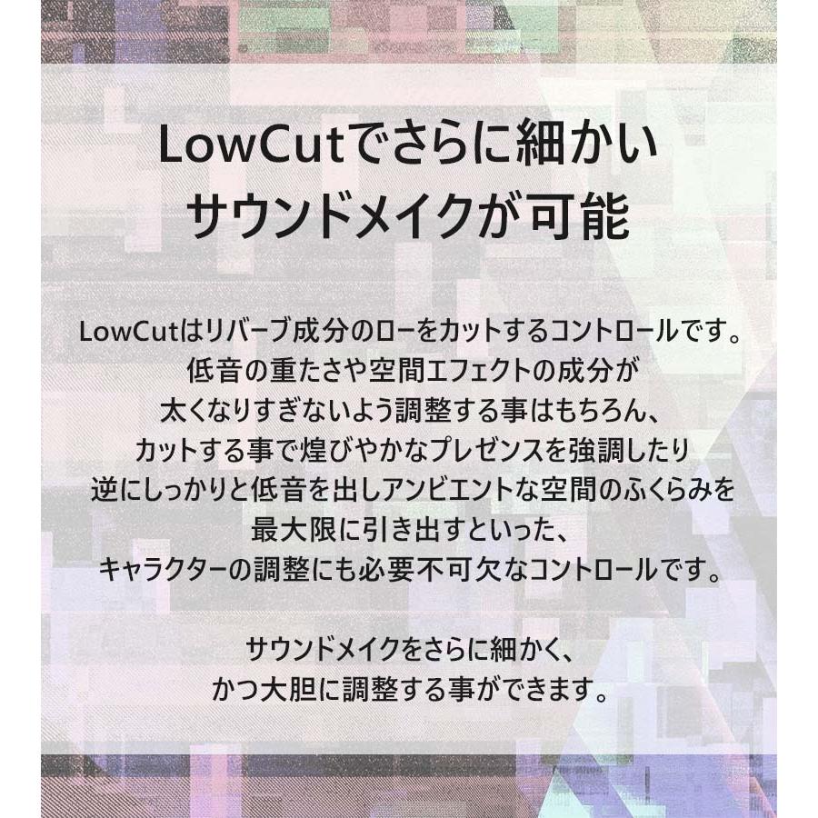 ベース ギター エフェクター Vivie Dolphin Deverb ドルフィンディ