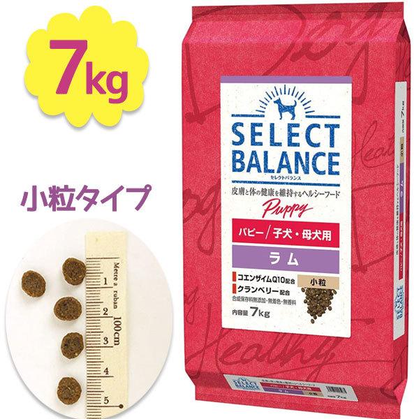 ドッグフード セレクトバランス パピー ラム 小粒 7kg 子犬用 母犬