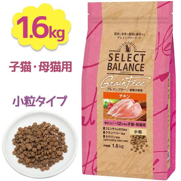 キャットフード セレクトバランス グレインフリー キトン チキン 小粒