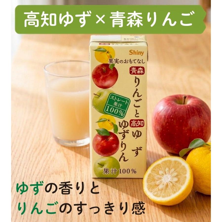 シャイニー フルーツジュース 国産ストレート果汁100％ 果実の