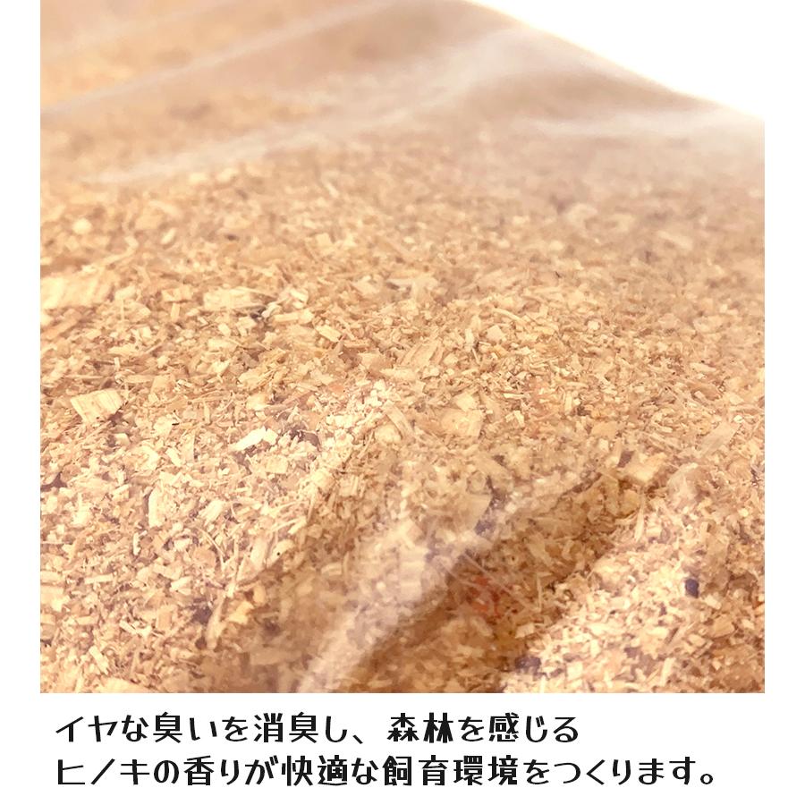 カブトムシ クワガタ 成虫用 昆虫マット 10L コバエとダニが嫌うヒノキ